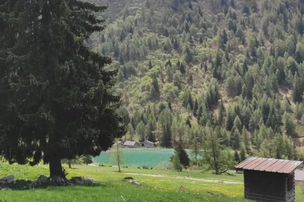 Appartamento 21 Residence Adamello Passo del Tonale 0*,  Italy